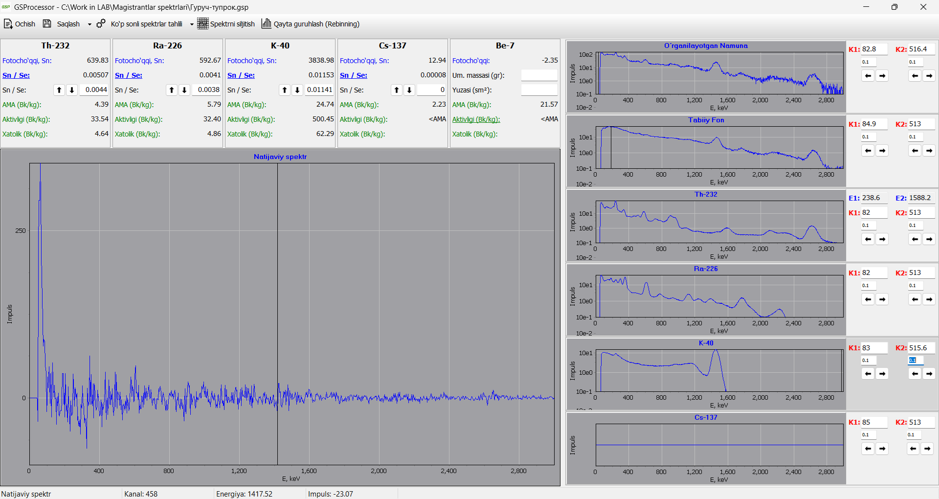 GSProcessor screenshot 2